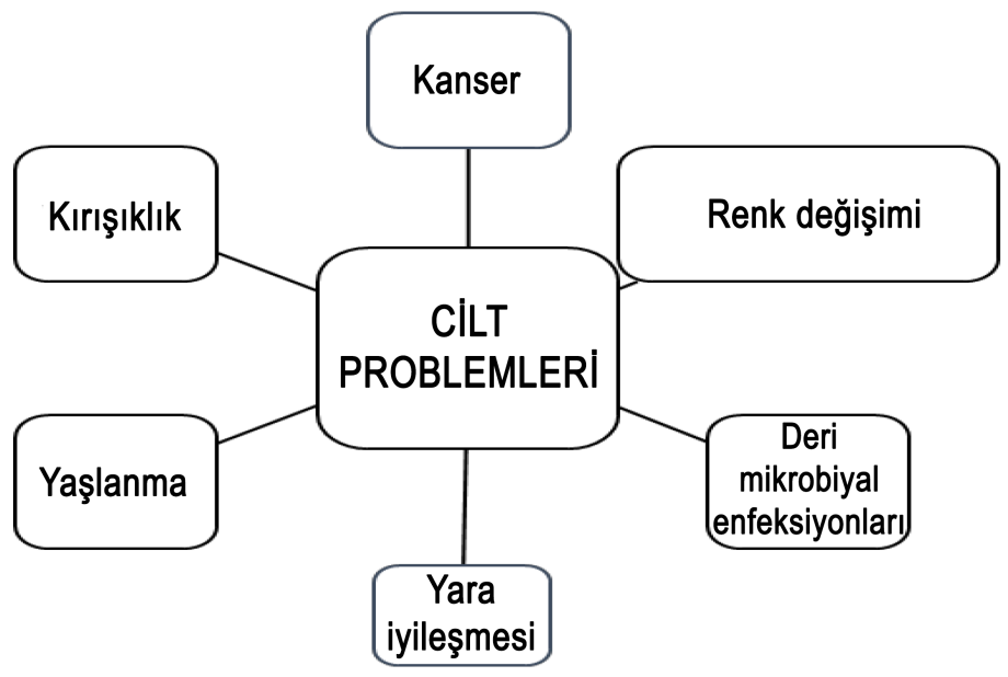 cilt koruması