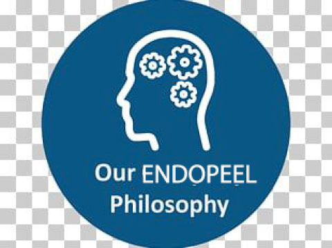 JİNEKOLOGLAR İÇİN ENDOPEEL FELSEFESİ