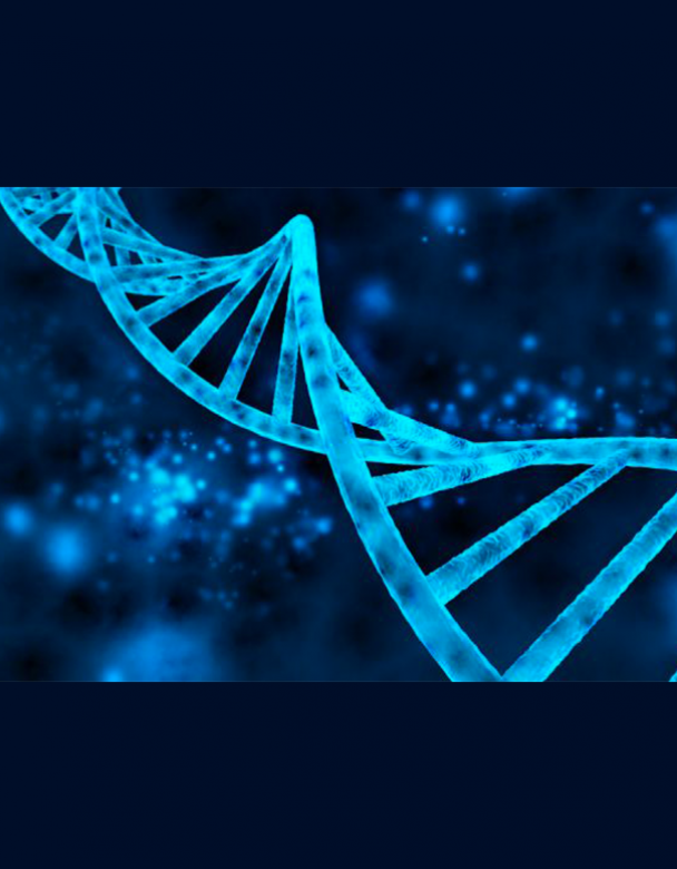 Molek&uuml;ler Biyoloji