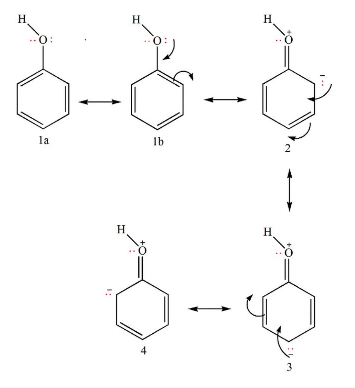 rezonanslar-yapılar-fenol