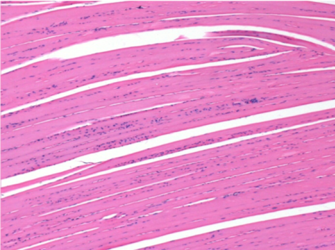 Sol Kontrol- 100xD90